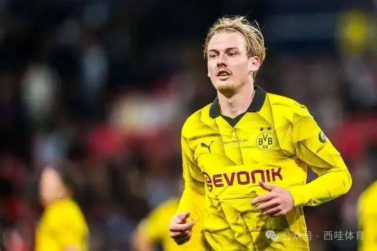 多特蒙德集锦 多特蒙德集锦